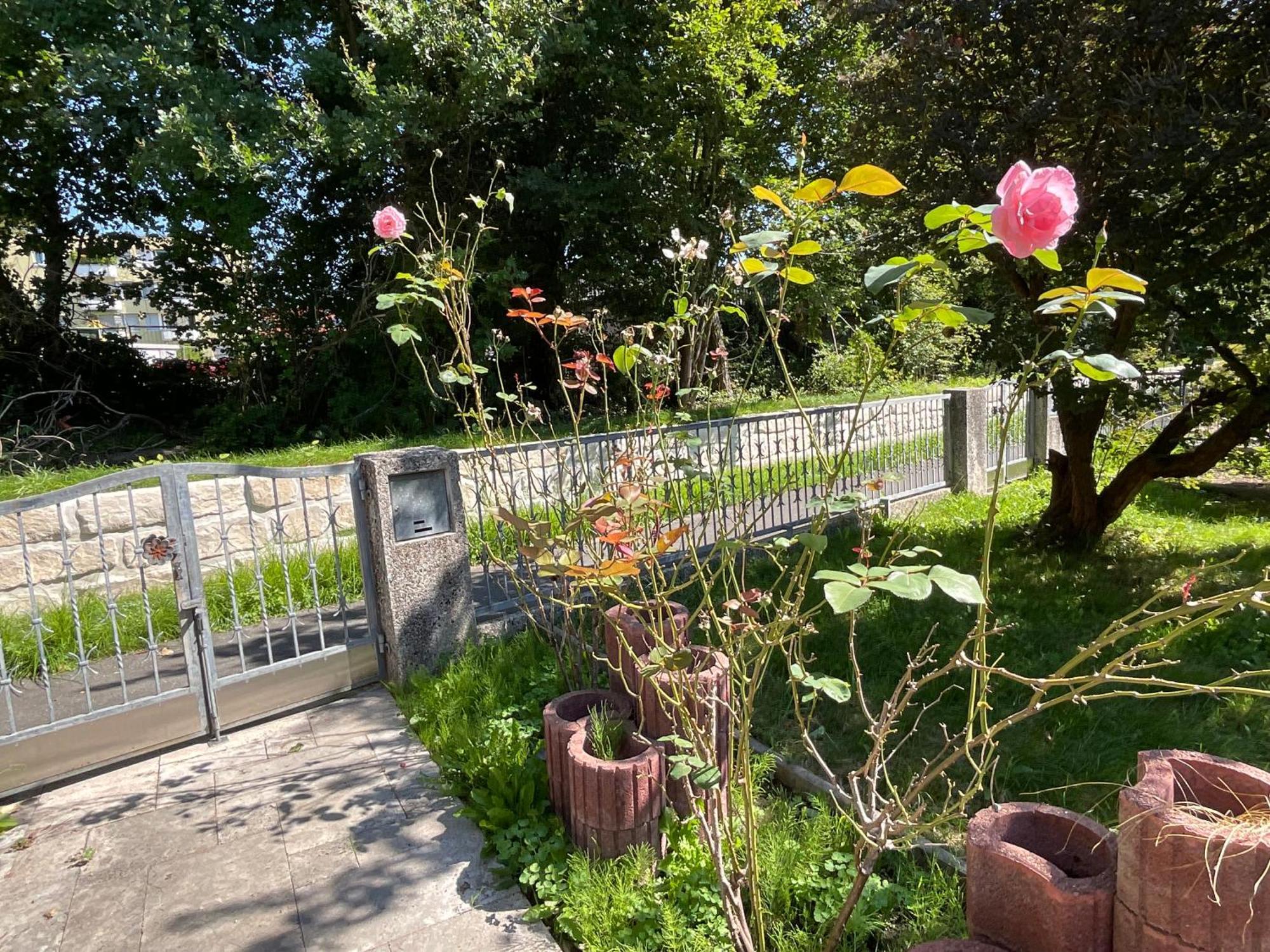 Messe-Apartment, 4 Schlafzimmer, 80 Qm, Garten - 6 Km Zur Messe, Verkehrsguenstig, Ruhig, Parkplaetze Νυρεμβέργη Εξωτερικό φωτογραφία